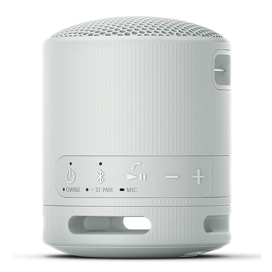 Loa Sony SRS-XB100 Grey-2