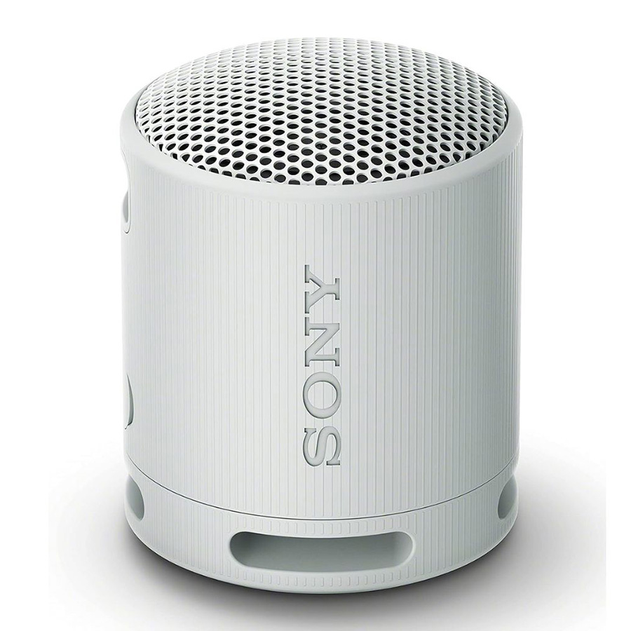 Loa Sony SRS-XB100 Grey