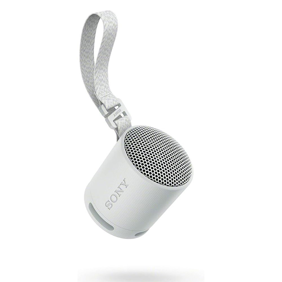 Loa Sony SRS-XB100 Grey-3