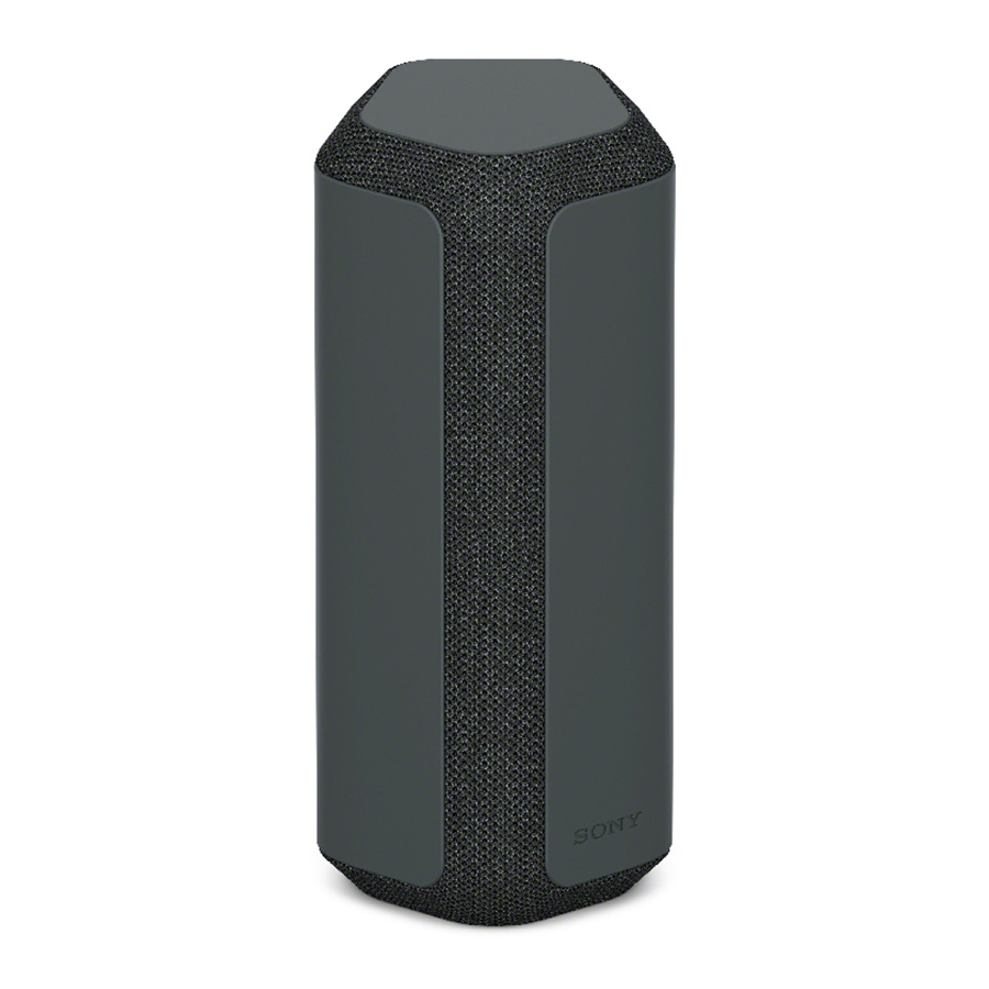 Loa Sony SRS-XE300 Black