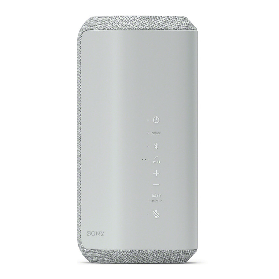 Loa Sony SRS-XE300 Grey-2