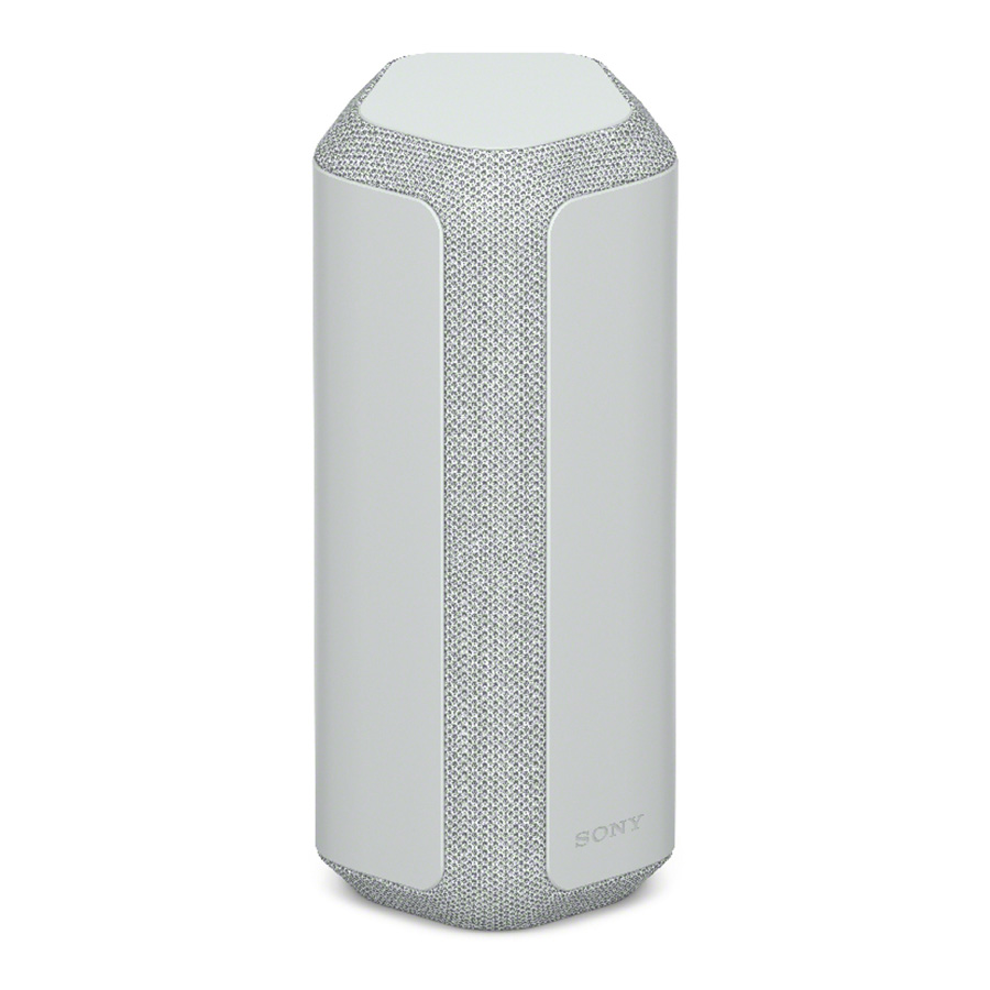 Loa Sony SRS-XE300 Grey