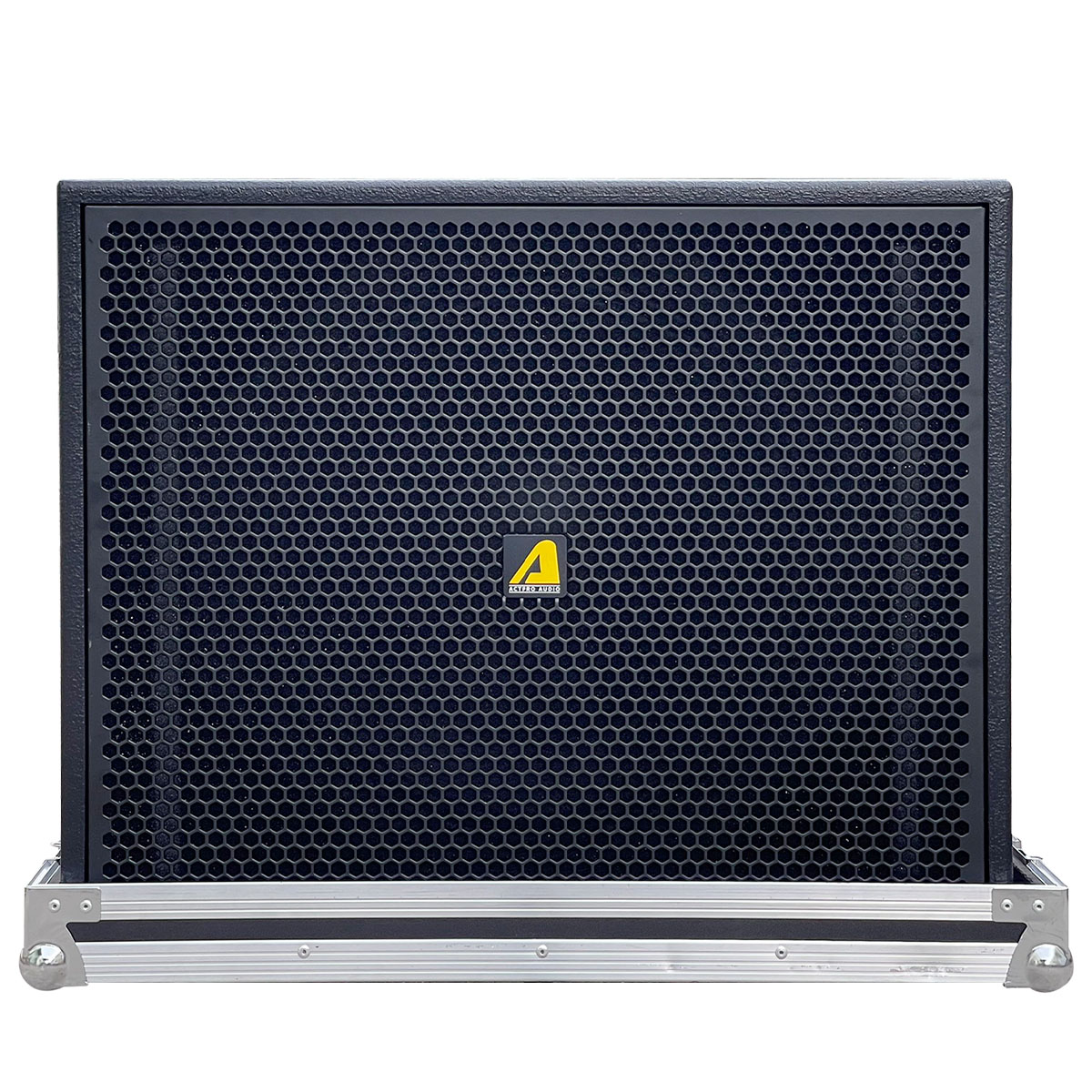 Loa Sub Đơn 50 Từ Neo Actpro AS18N