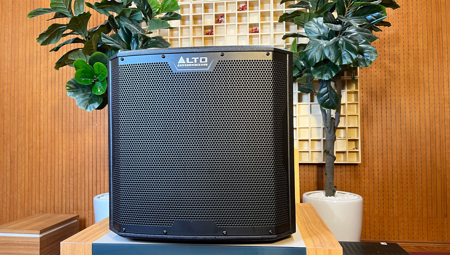 Loa Sub Điện Alto TS12S (Bass 30cm)