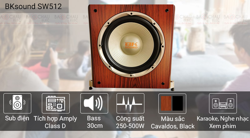 Loa sub điện BKSound SW512-C