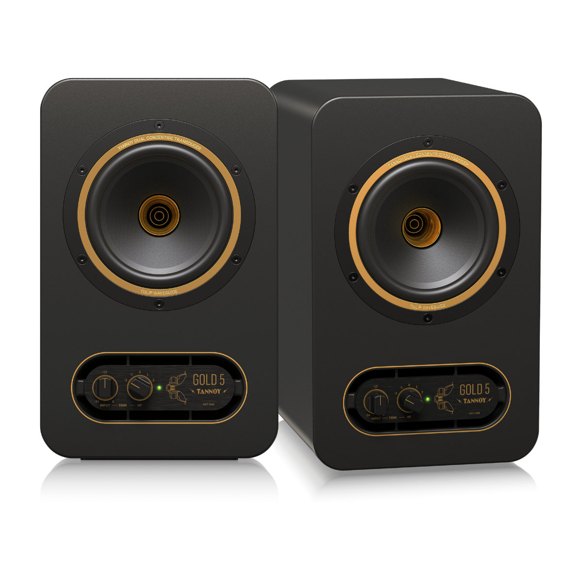 Loa Tannoy GOLD 5