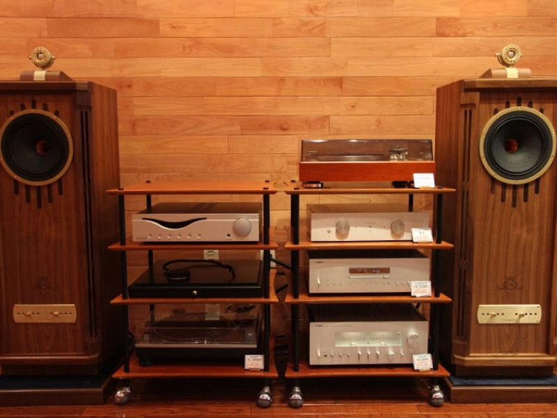 Loa Tannoy Super Tweeter GO