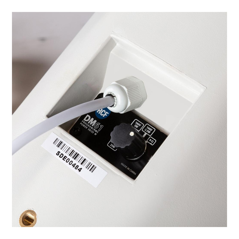 Loa treo tường RCF DM 61