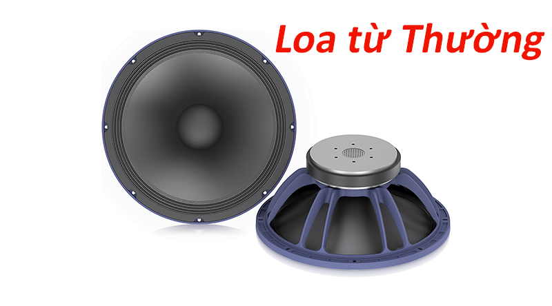 loa từ thường
