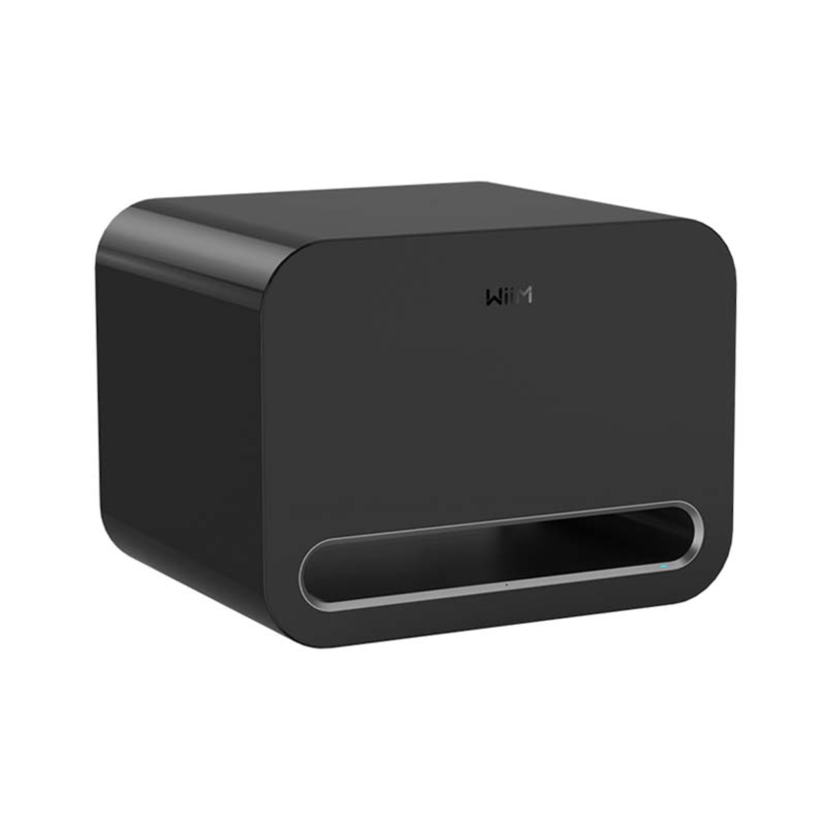 Loa sub Wiim Sub Pro