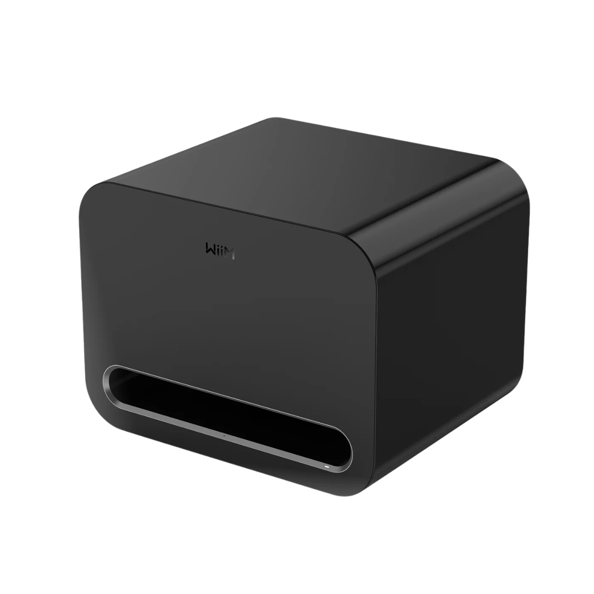 Loa sub Wiim Sub Pro