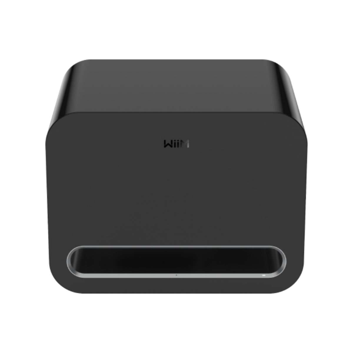 Loa sub Wiim Sub Pro