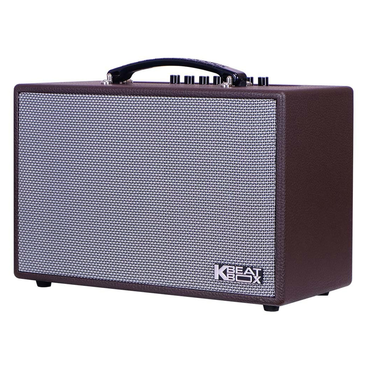 Loa Xách Tay Acnos CS160