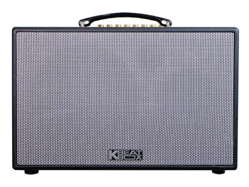 Loa x&aacute;ch tay Acnos CS201PU