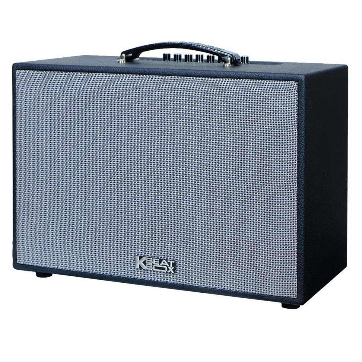 Loa xách tay Acnos CS251PU