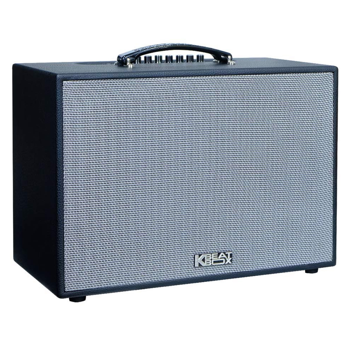 Loa xách tay Acnos CS251PU