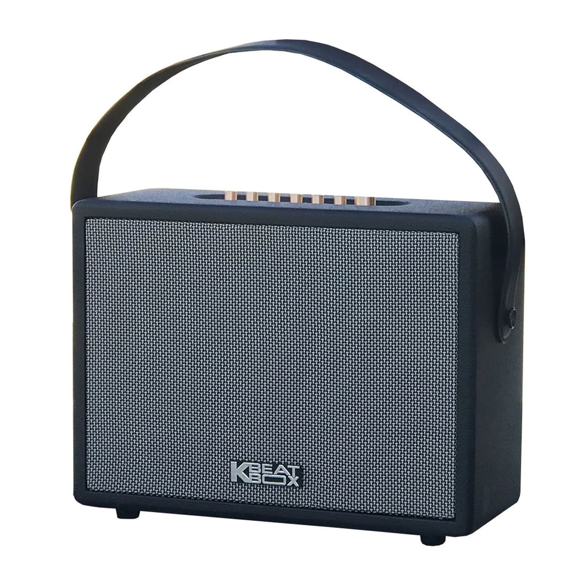 Loa xách tay Acnos CS270