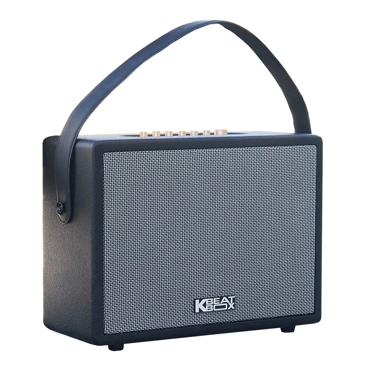 Loa xách tay Acnos CS270