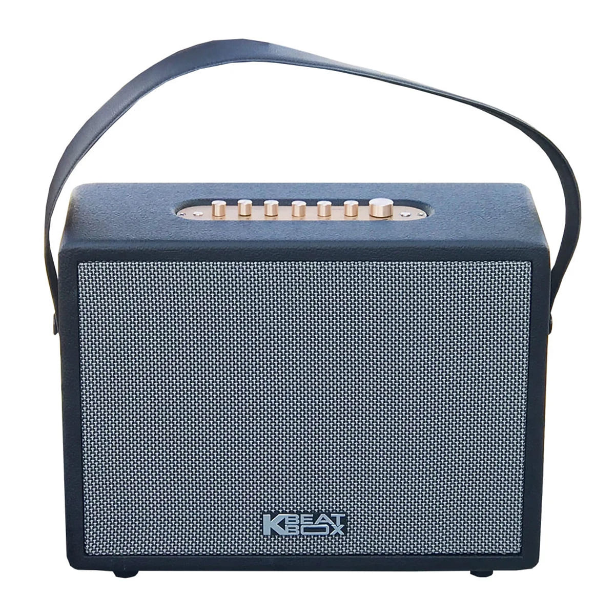 Loa xách tay Acnos CS270