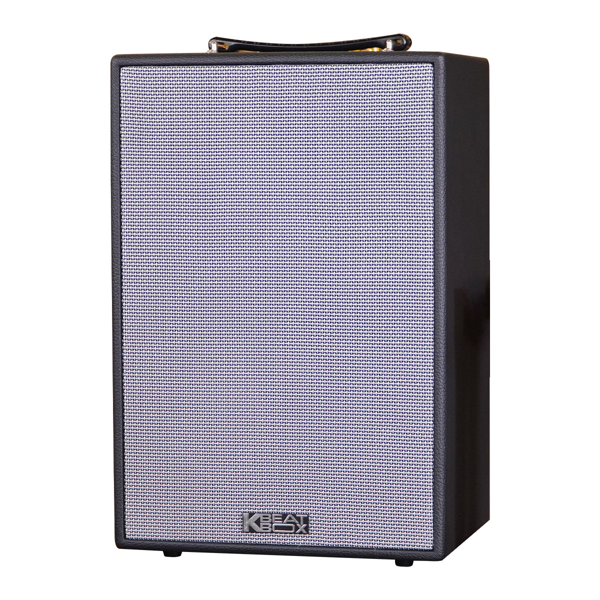 Loa Xách Tay Acnos CS286 Plus