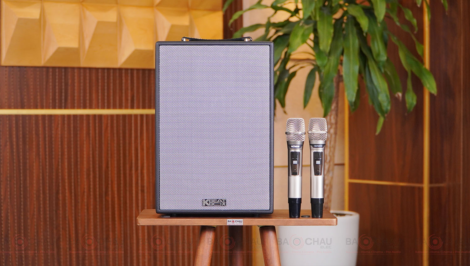 Loa Xách Tay Acnos CS286 Plus