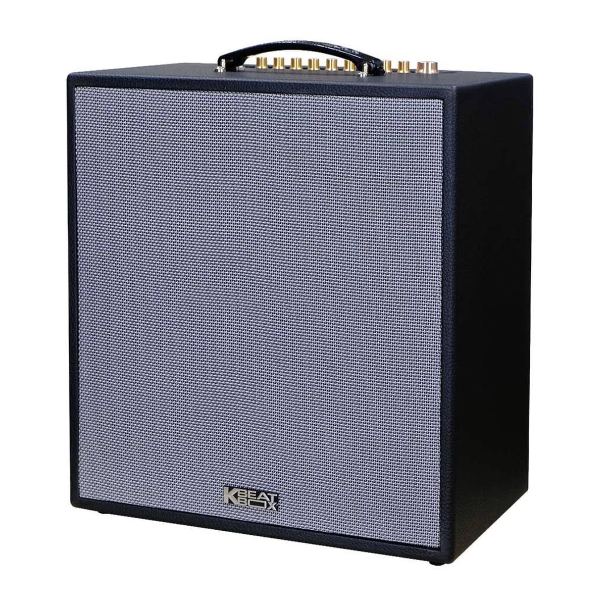 Loa xách tay ACNOS CS300