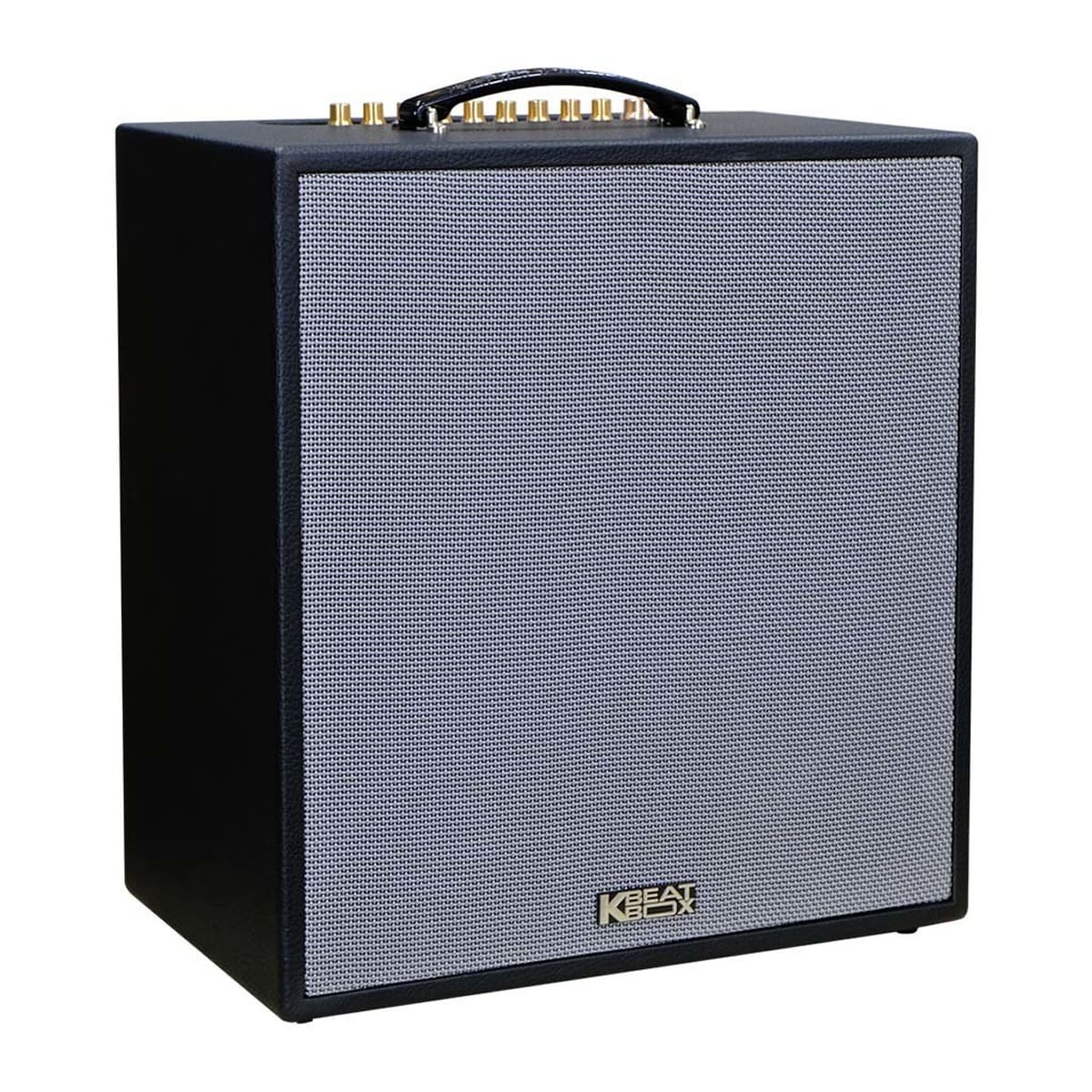 Loa xách tay ACNOS CS300