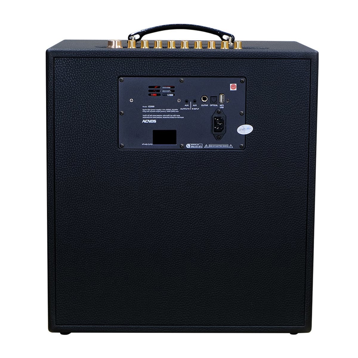 Loa xách tay ACNOS CS300