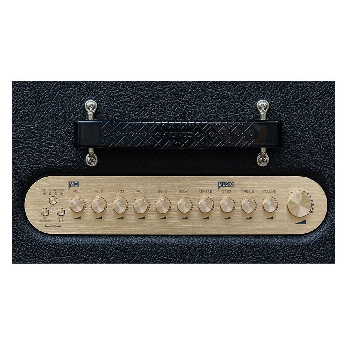 Loa xách tay Acnos CS3600