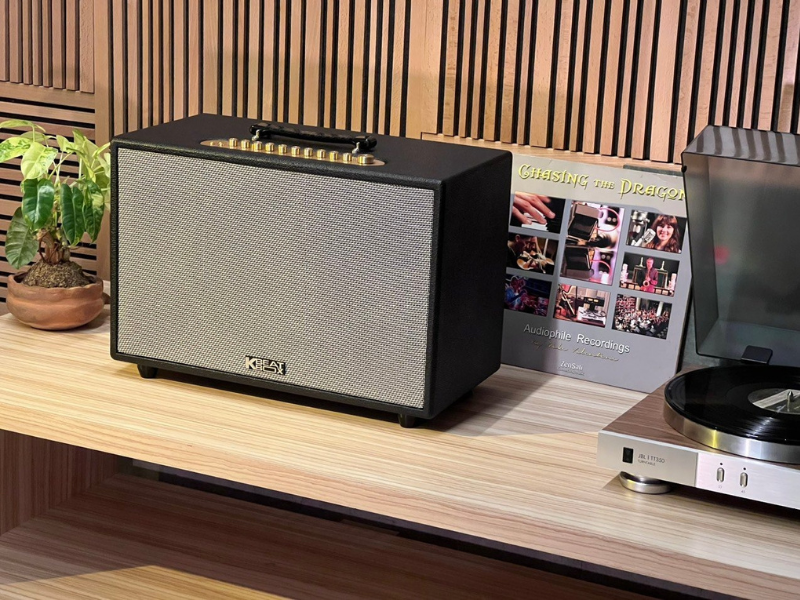 Loa ACNOS CS3600 Gen 2