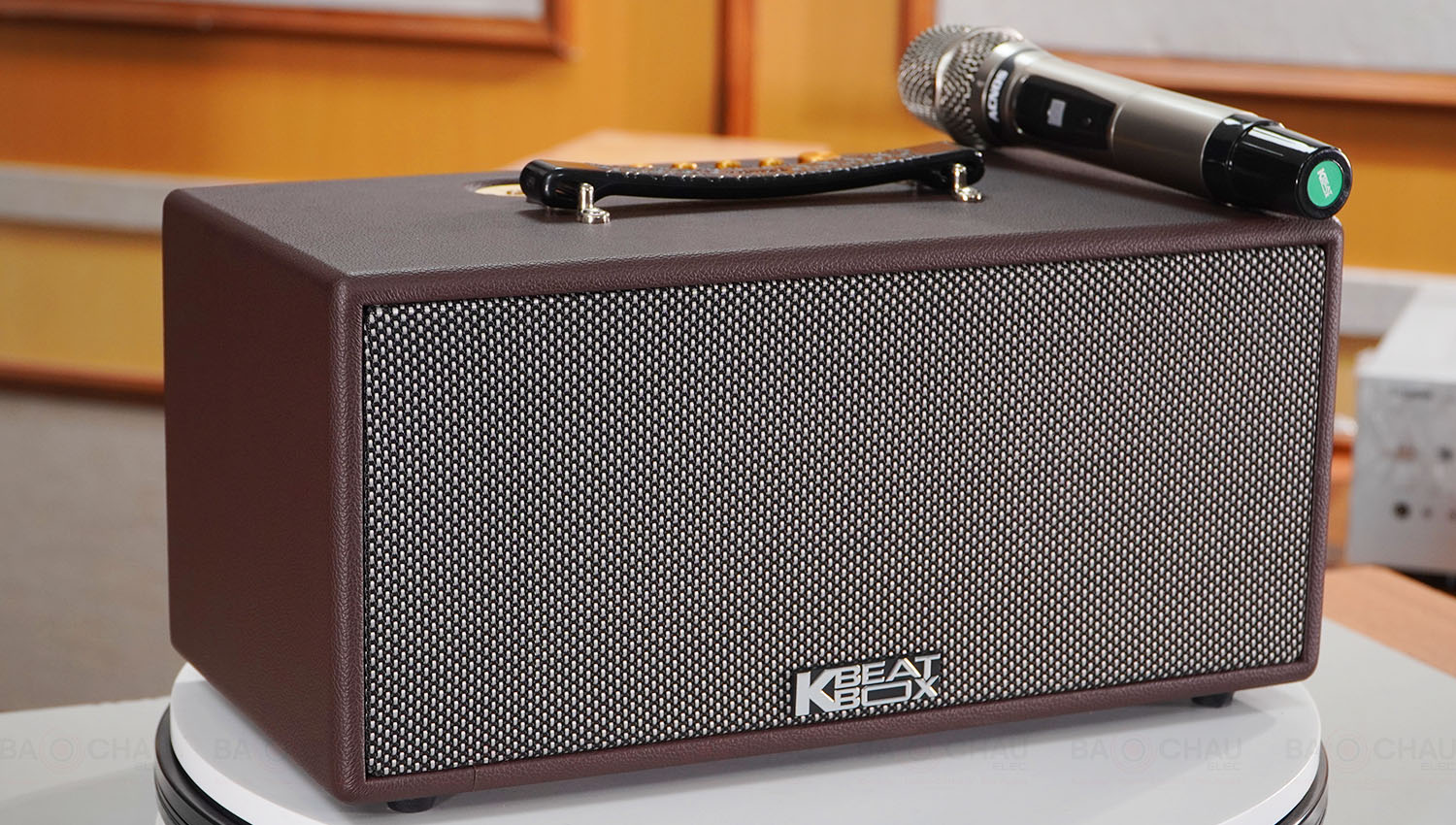 Loa xách tay Acnos CS366 Plus