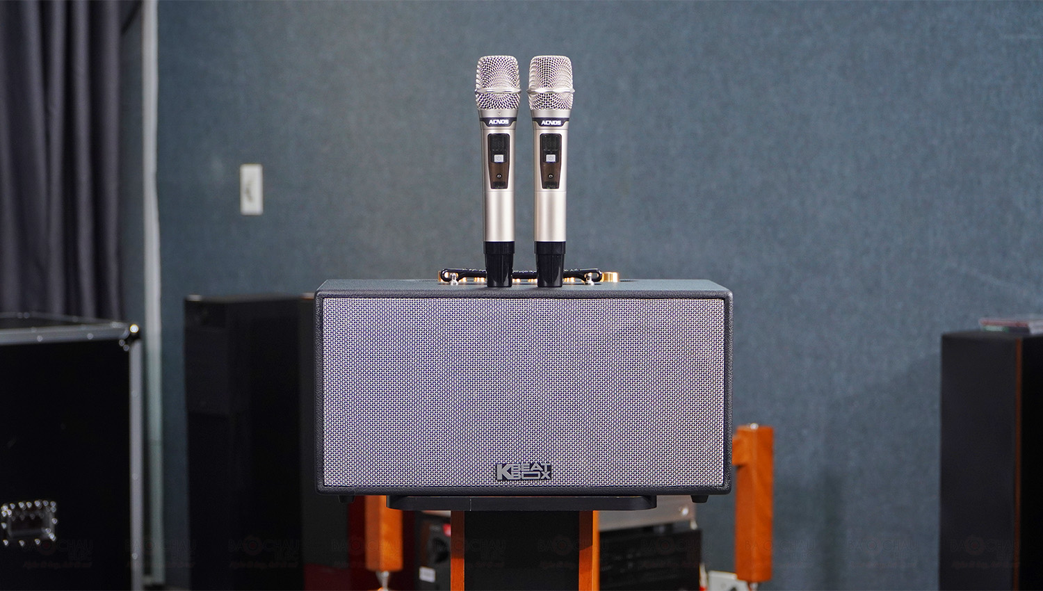 Loa Xách Tay Acnos CS448