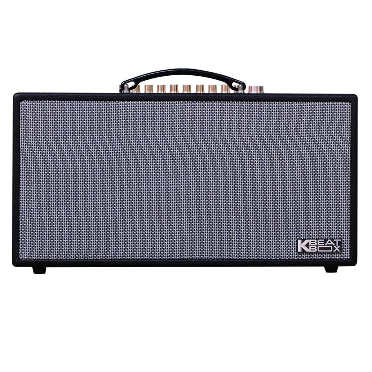 Loa xách tay Acnos CS450Alpha