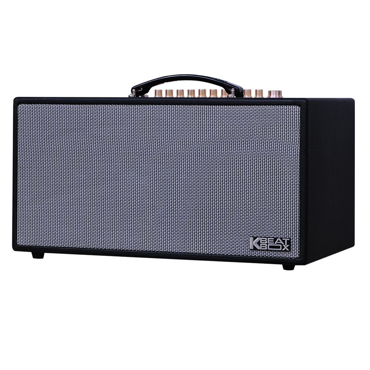 Loa xách tay Acnos CS450Alpha