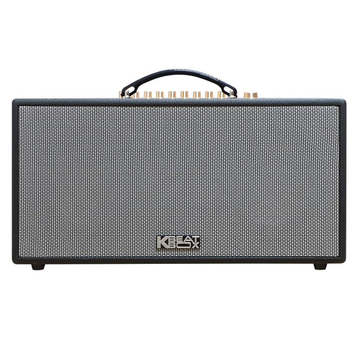 Loa xách tay Acnos CS450neo