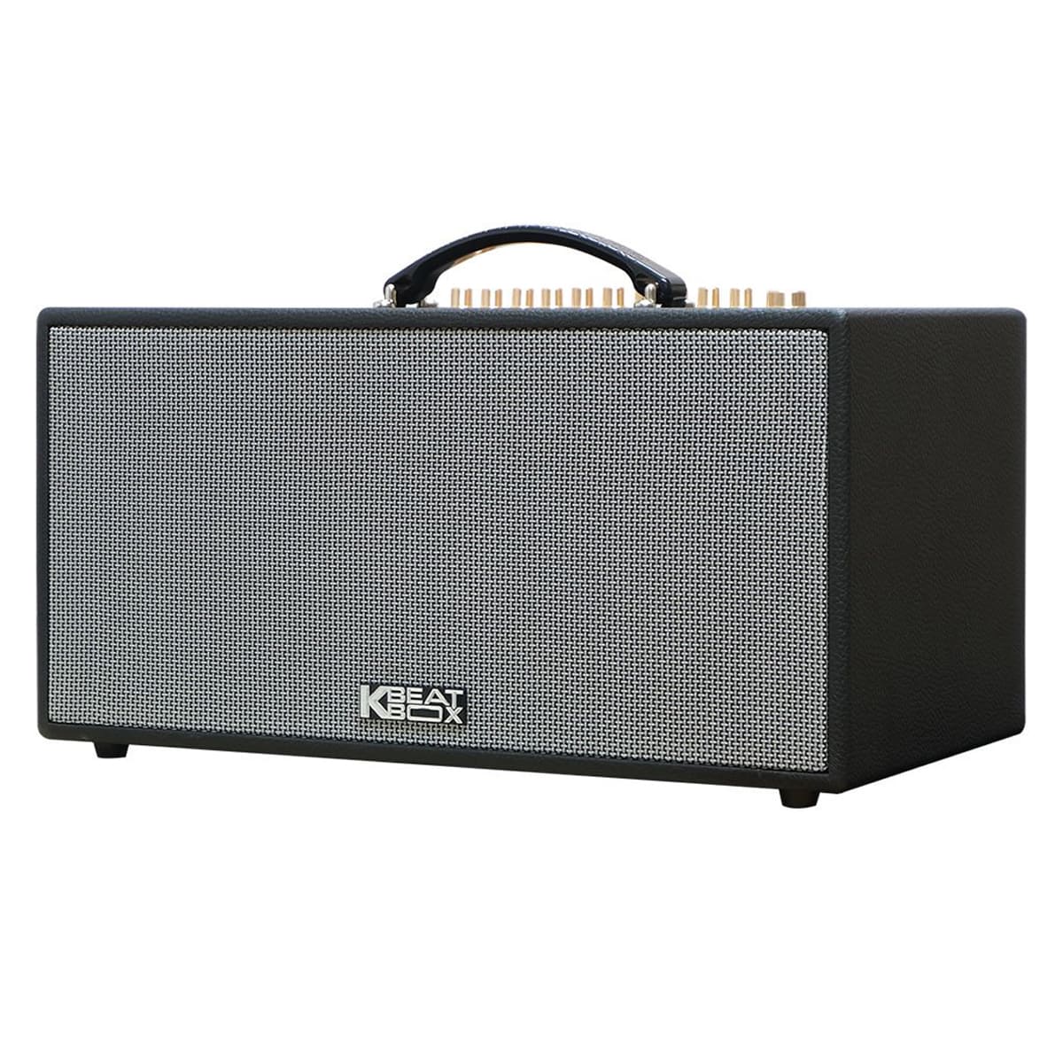 Loa xách tay Acnos CS450neo