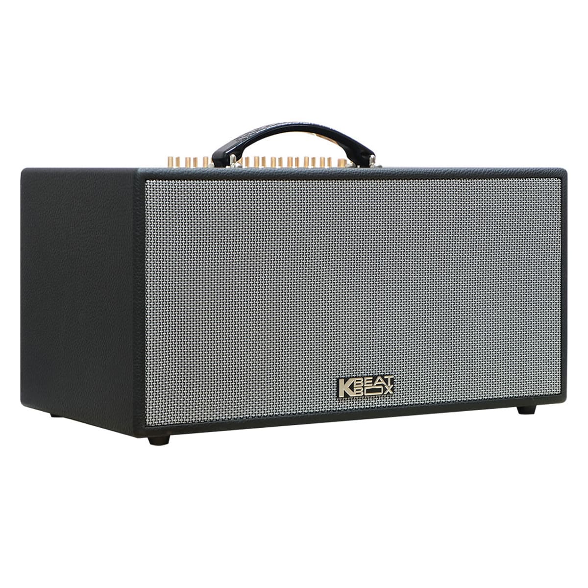 Loa xách tay Acnos CS450neo