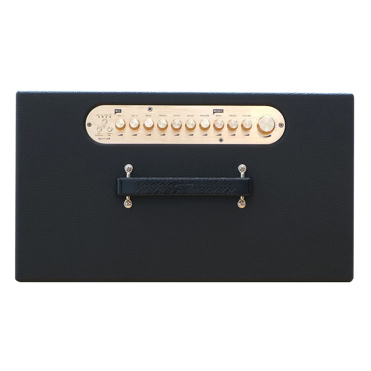 Loa xách tay Acnos CS450neo