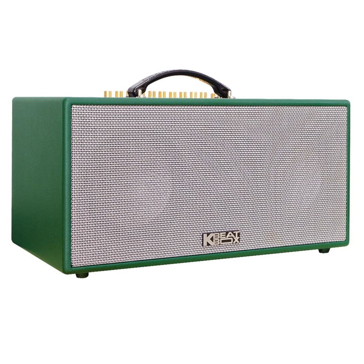 Loa xách tay Acnos CS450neo