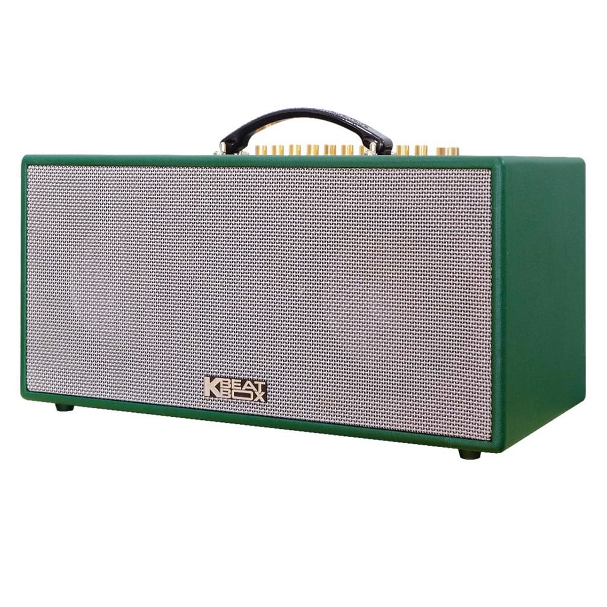 Loa xách tay Acnos CS450neo