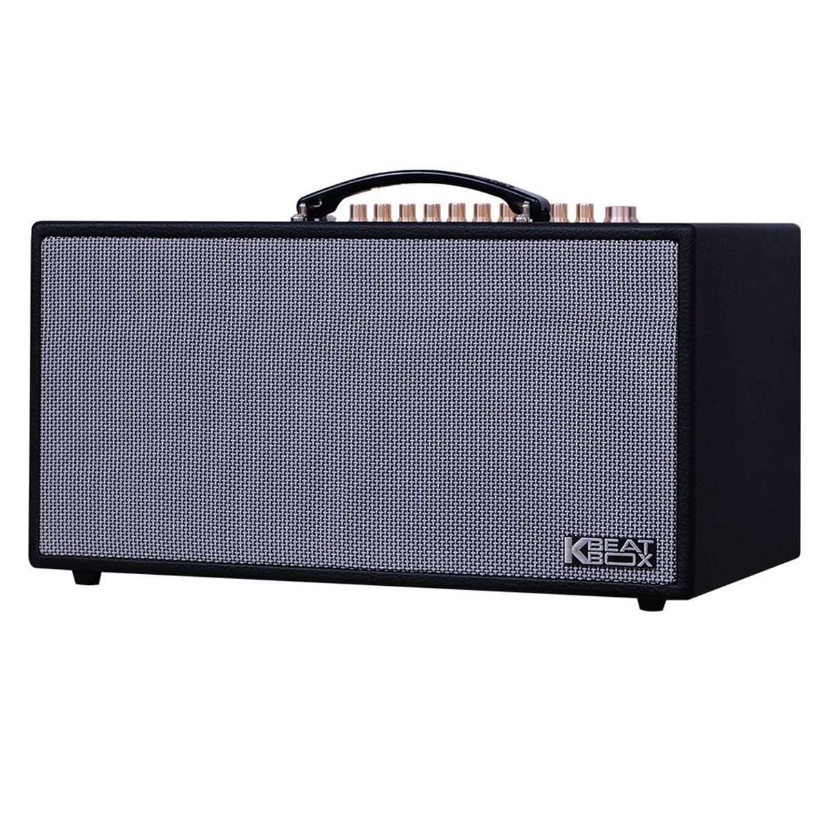 Loa xách tay Acnos CS450SR