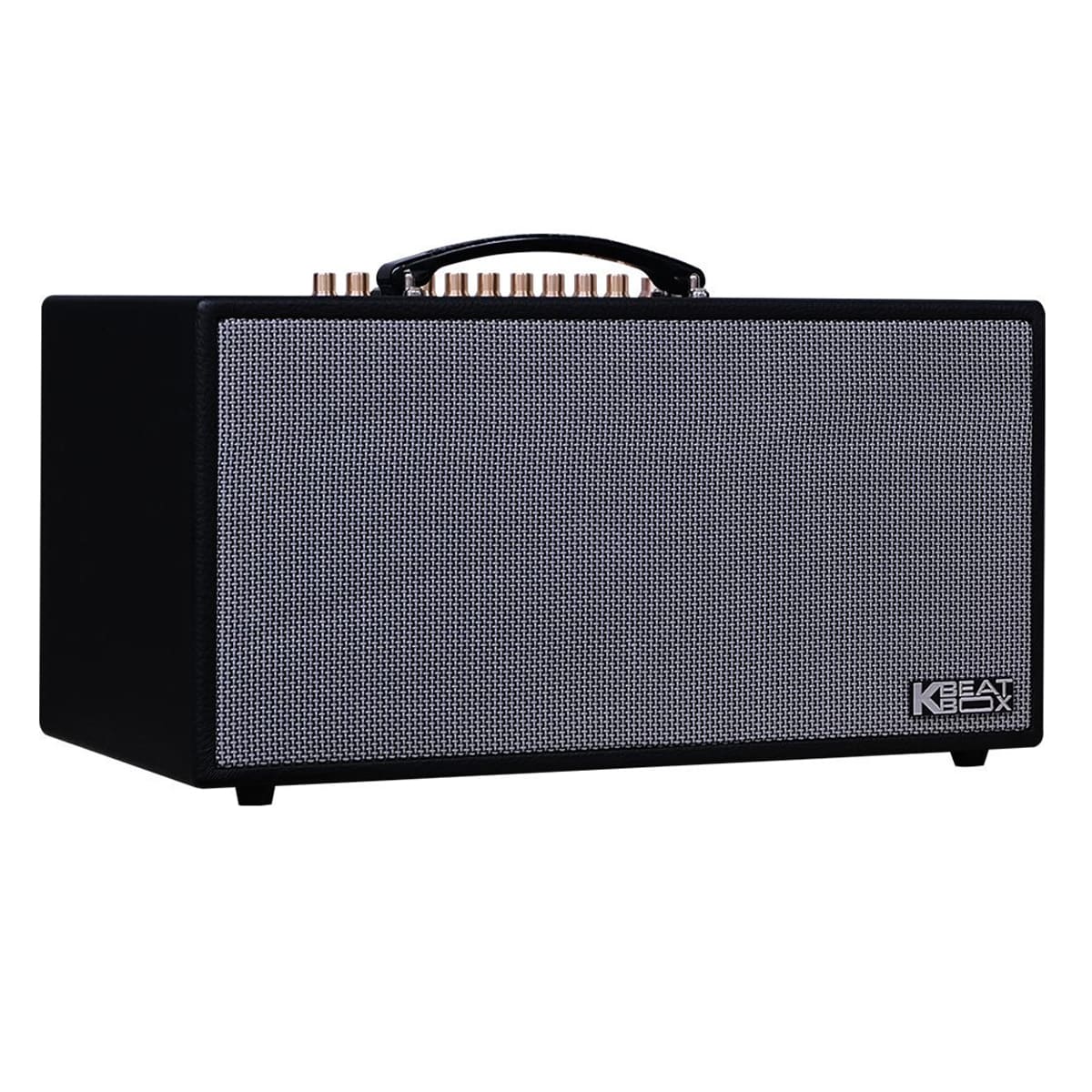 Loa xách tay Acnos CS450SR