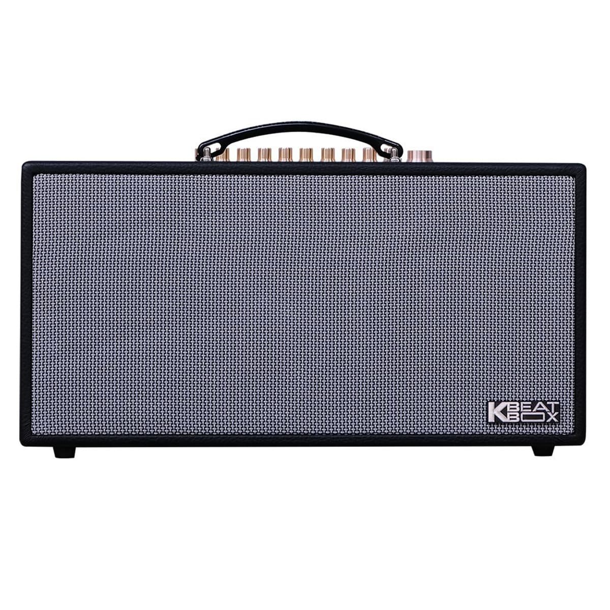 Loa xách tay Acnos CS450SR