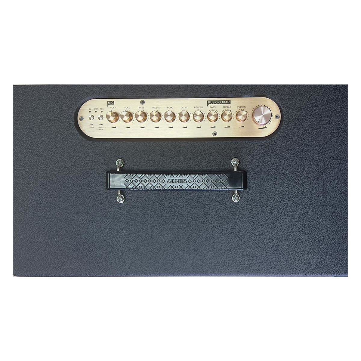 Loa xách tay Acnos CS450SR