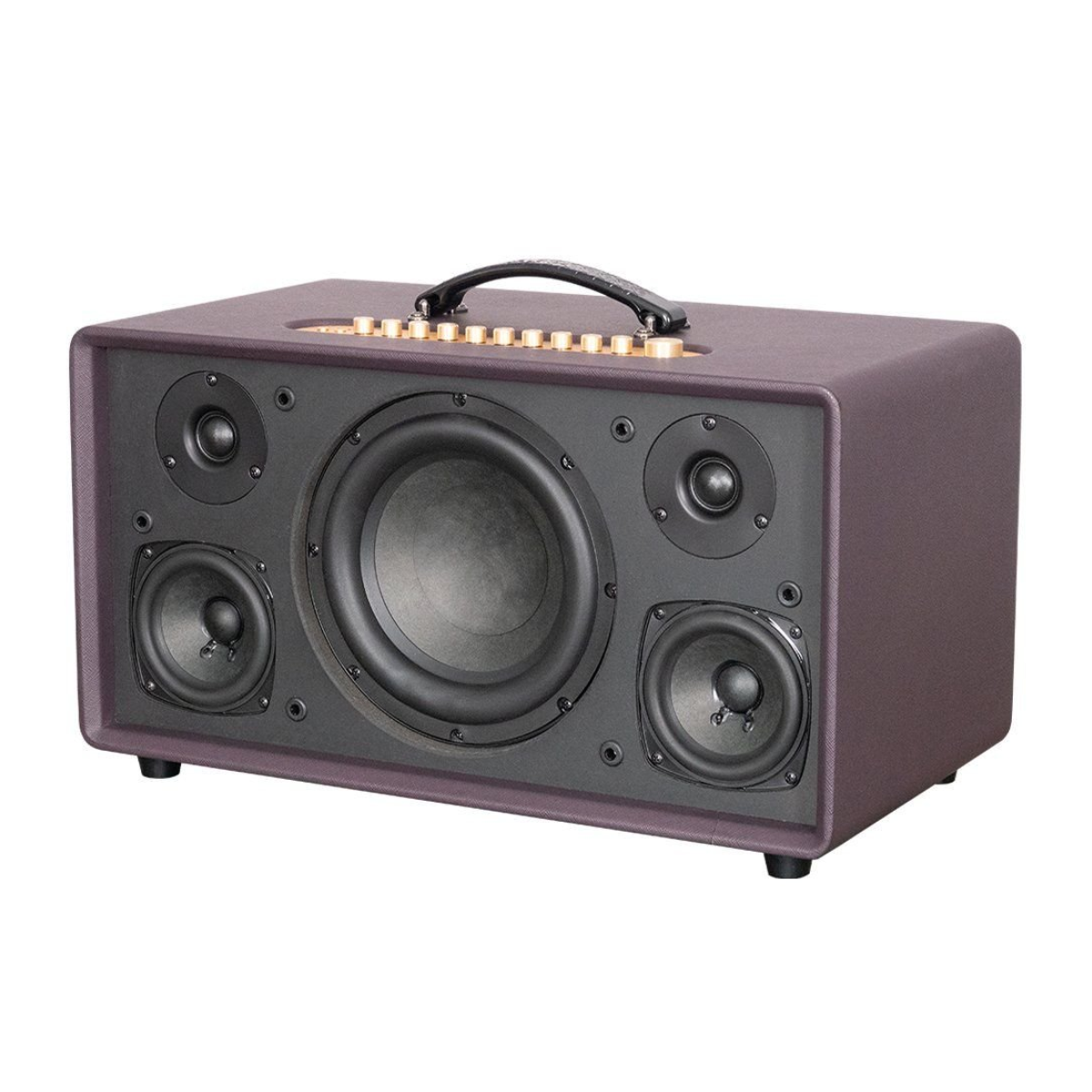 Loa xách tay Acnos Flac 36 Ver2