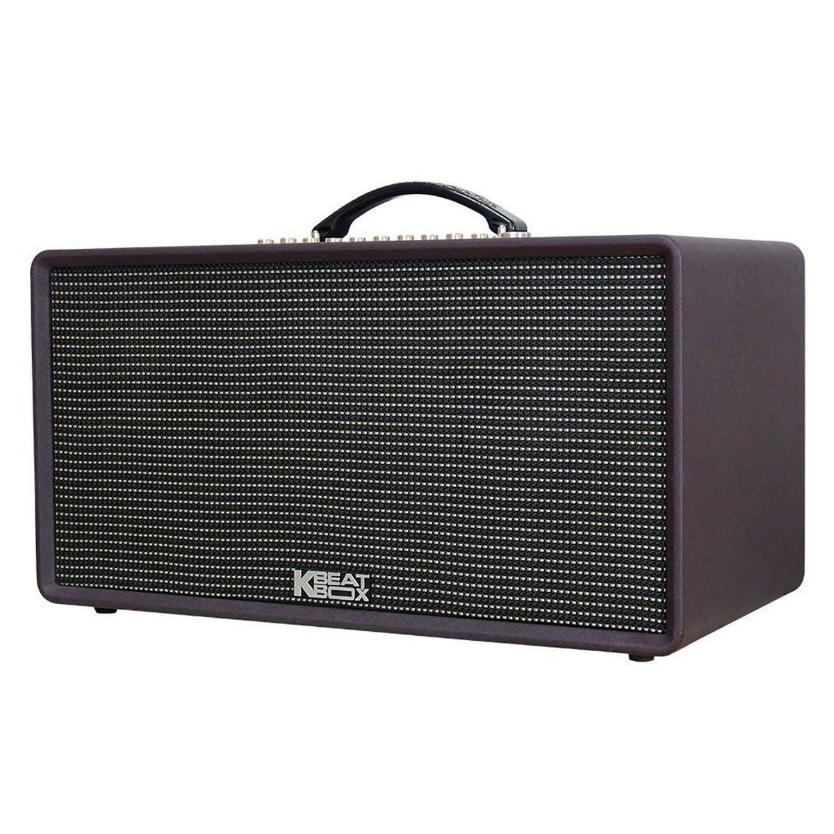 Loa Xách Tay Acnos Flac 36