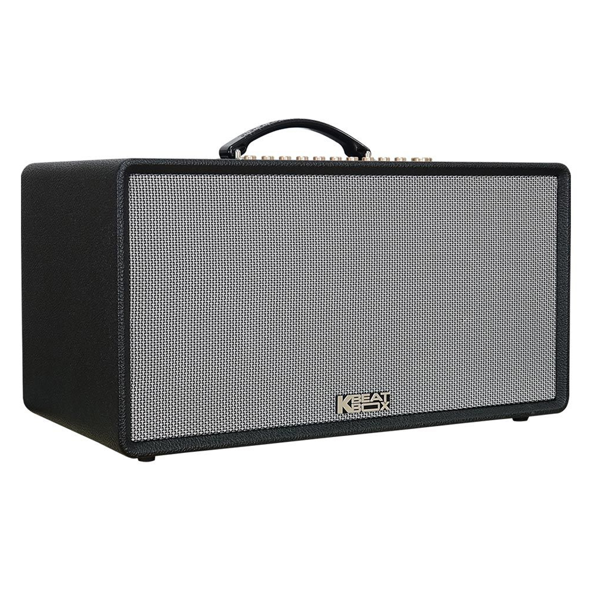 Loa Xách Tay Acnos Flac 36