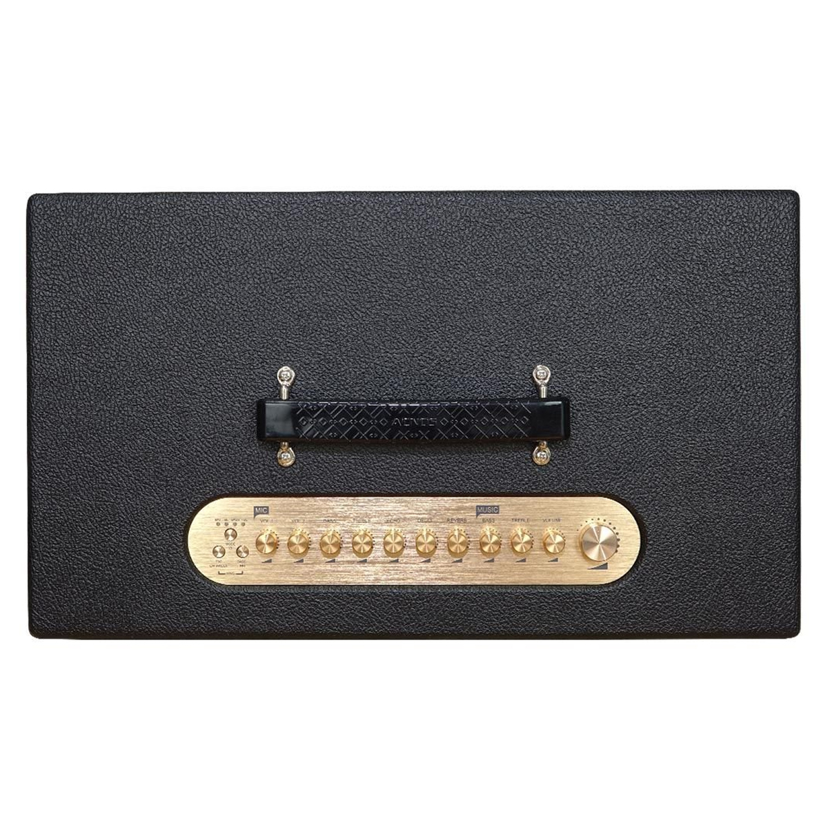 Loa Xách Tay Acnos Hinet 450