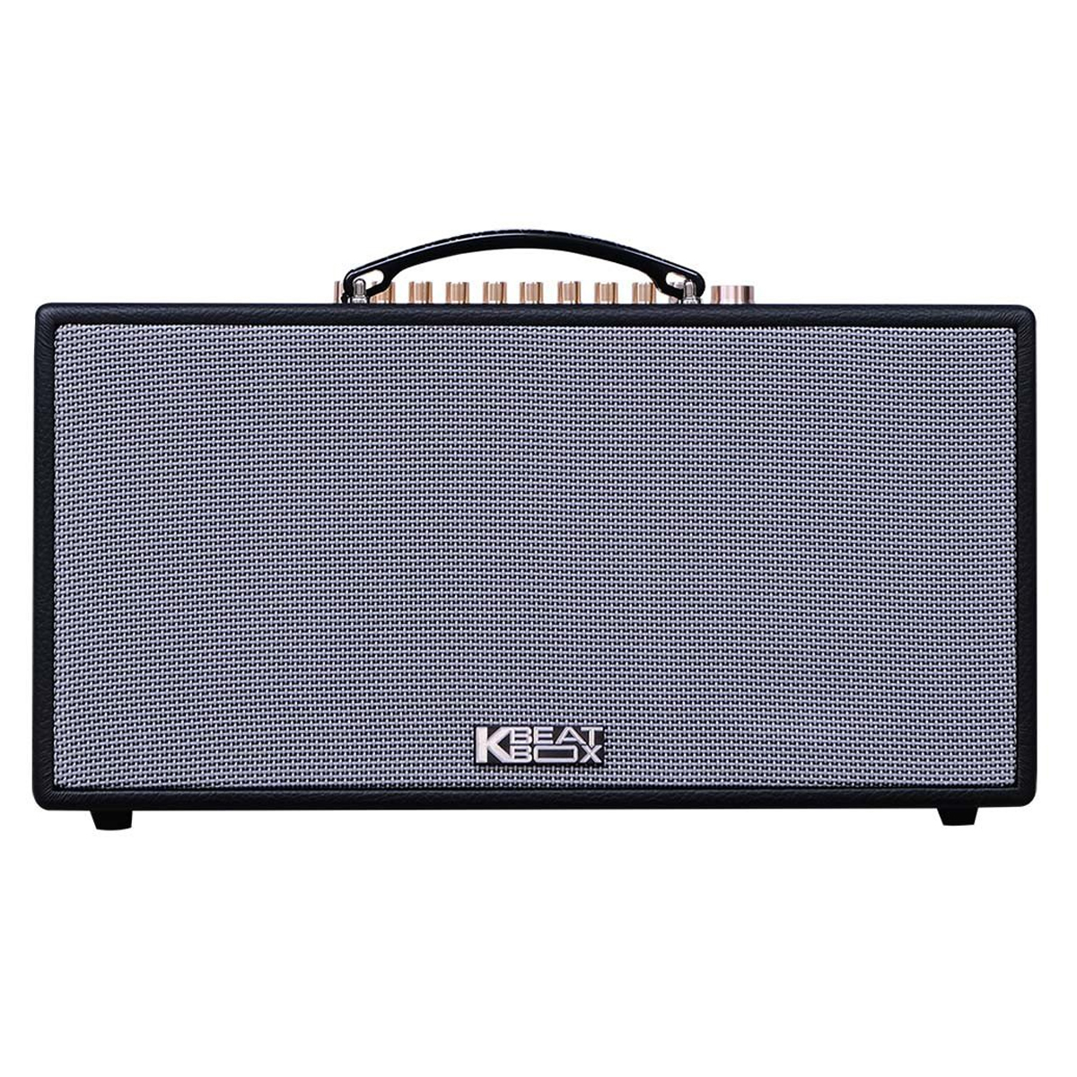 Loa xách tay Acnos HN447