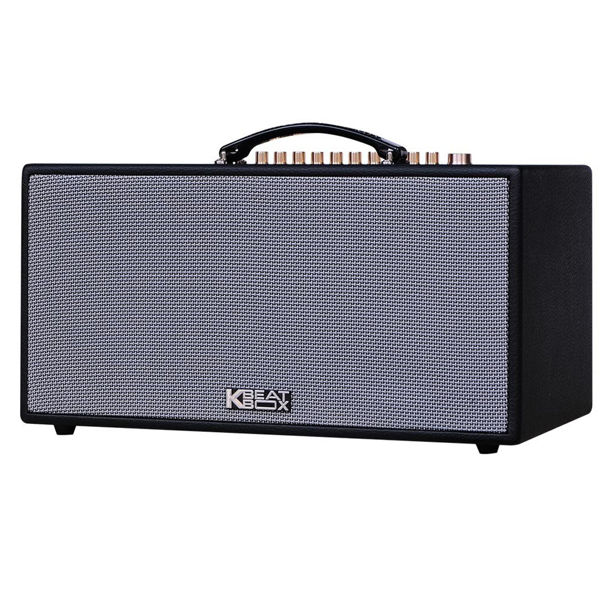 Loa xách tay Acnos HN447